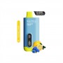 Saltica Ekranlı 12000 Blue Razz Lemon Disposable Vape Bar